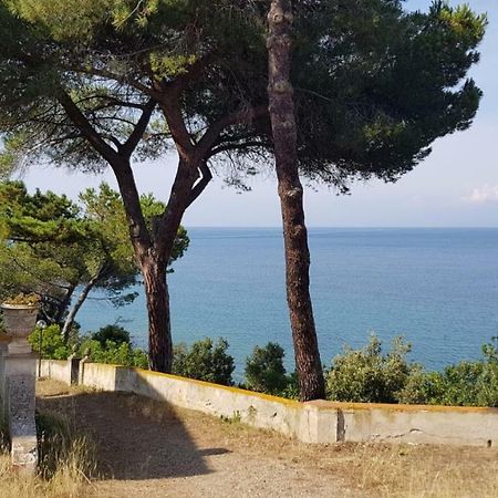 Agriturismo Marroni Anna ** Leilighet San Giovanni  Eksteriør bilde